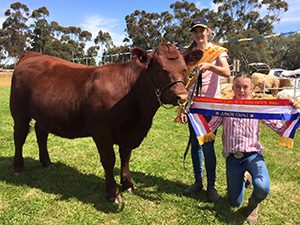 Junior Champion Female, Jamestown Show 2015